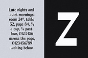 Alvaris – High Contrast Sans Font, a Sans Serif Font by Issam Type (Thumbnail 15 of 16)