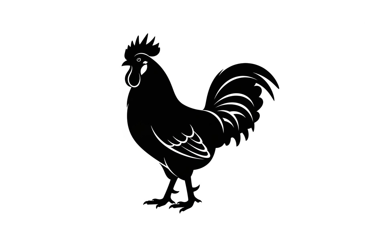 Rooster Chicken Silhouette Vector Bu, an Illustration by Designs_River (Photo 43 of 51)