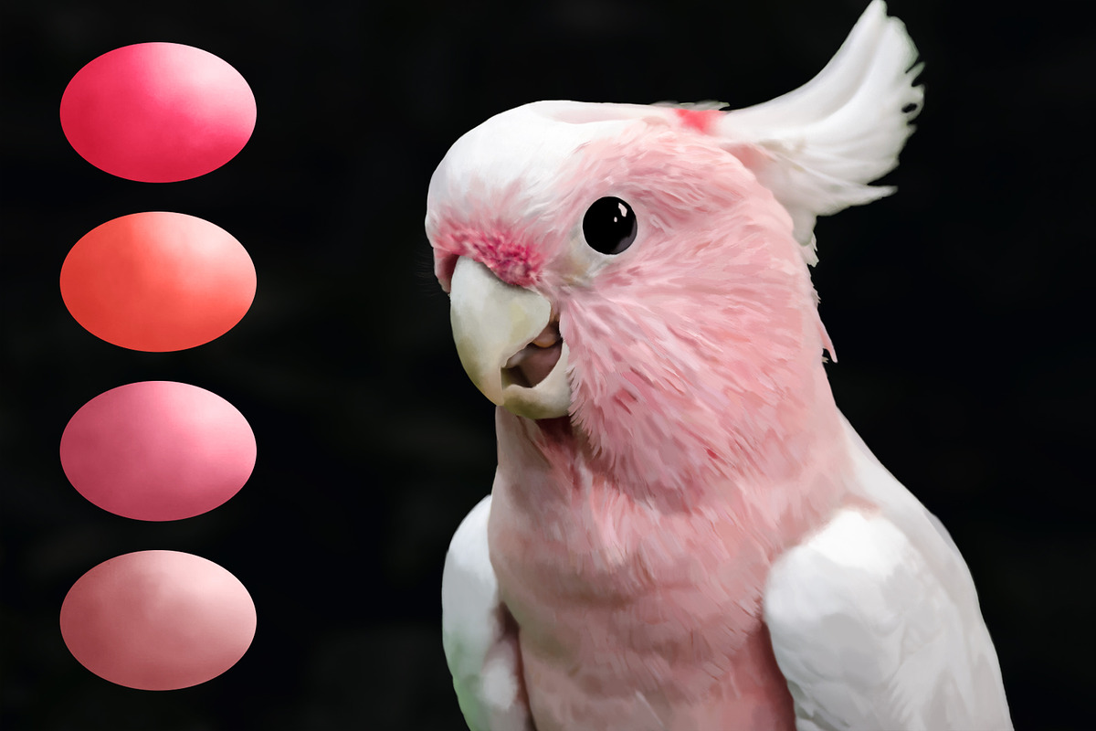 Parrot Swatches, a Palette Add-On by PandoraDreams (Photo 2 of 2)