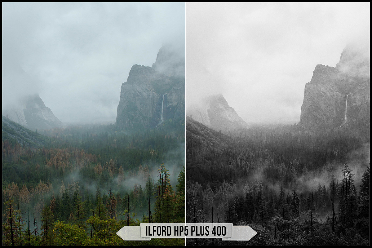 Ilford Films LUTs, a Plug-in Add-On by Raztrend (Photo 8 of 30)