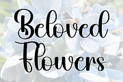 Lovely Dilligent, a Handwritten Font by FreshTypeINK (Thumbnail 9 of 9)