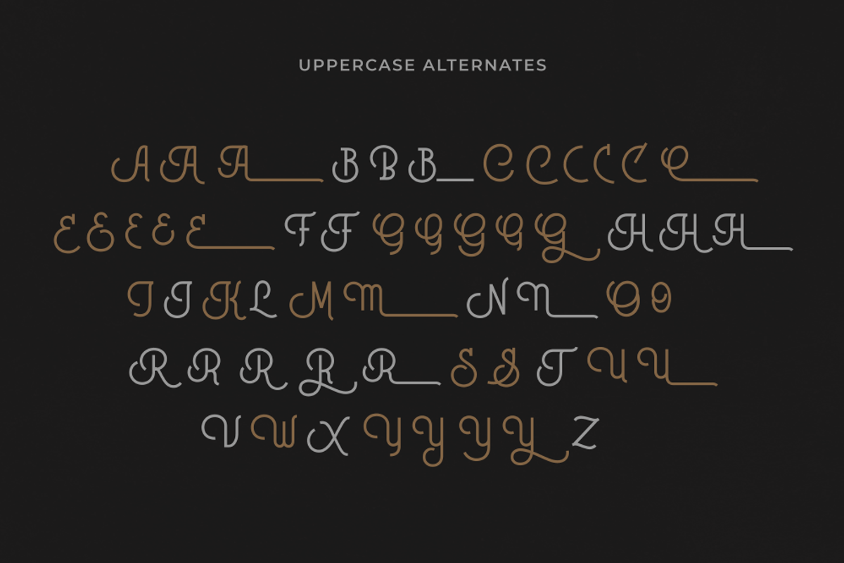 Brotherline - Logotype Font, a Script Font by Hendra Pratama (Photo 16 of 19)
