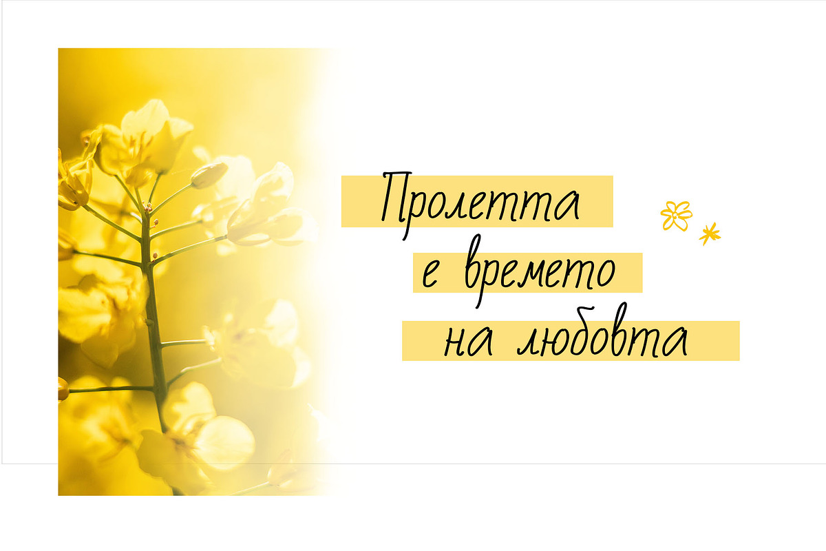 Rue de Sekly Cyrillic Script Font, a Script Font by IraDvilyuk (Photo 5 of 9)