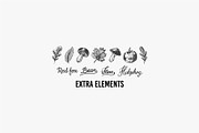 Big set bundle. Animals fox, wolf, an Animal Illustration by Arthur Balitskiy (Thumbnail 9 of 9)