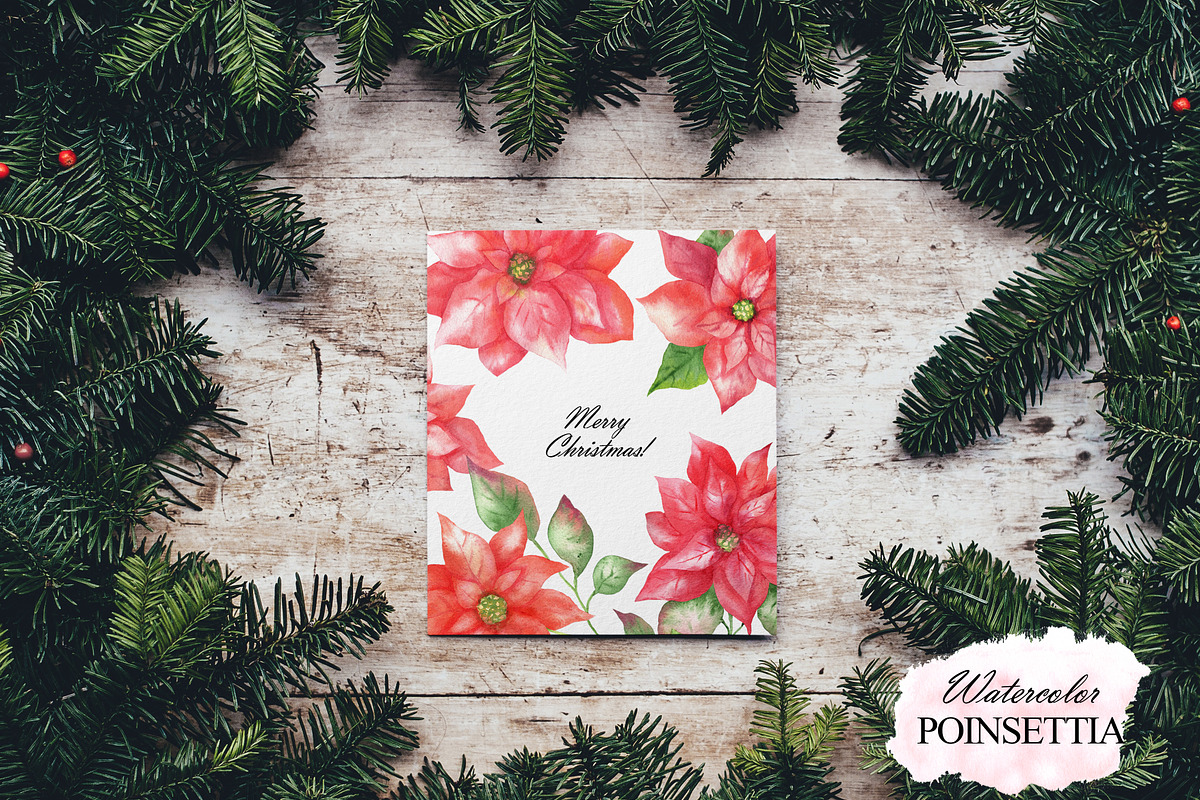 Watercolor poinsettia clipart, an Illustration by OlDm_Shop (Photo 5 of 10)