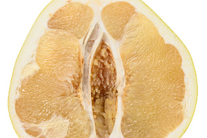 Half of juicy ripe pomelo on isolated background, a Food & Drink Photo by ndanko