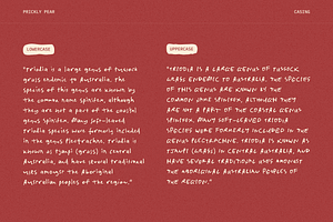 Prickly Pear Desert Handwriting Font