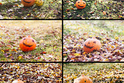 Rustic Pumpkin Garden, a Holiday Photo by pictures for you (Thumbnail 7 of 11)
