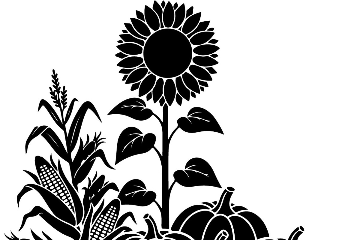 Thanksgiving Harvest Silhouette, an Illustration by Creativeshirt (Photo 31 of 51)