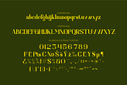 Dorvalen, a Serif Font by Rishsketch (Thumbnail 12 of 15)
