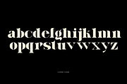 Kwong Display font, a Serif Font by maybefont (Thumbnail 5 of 11)