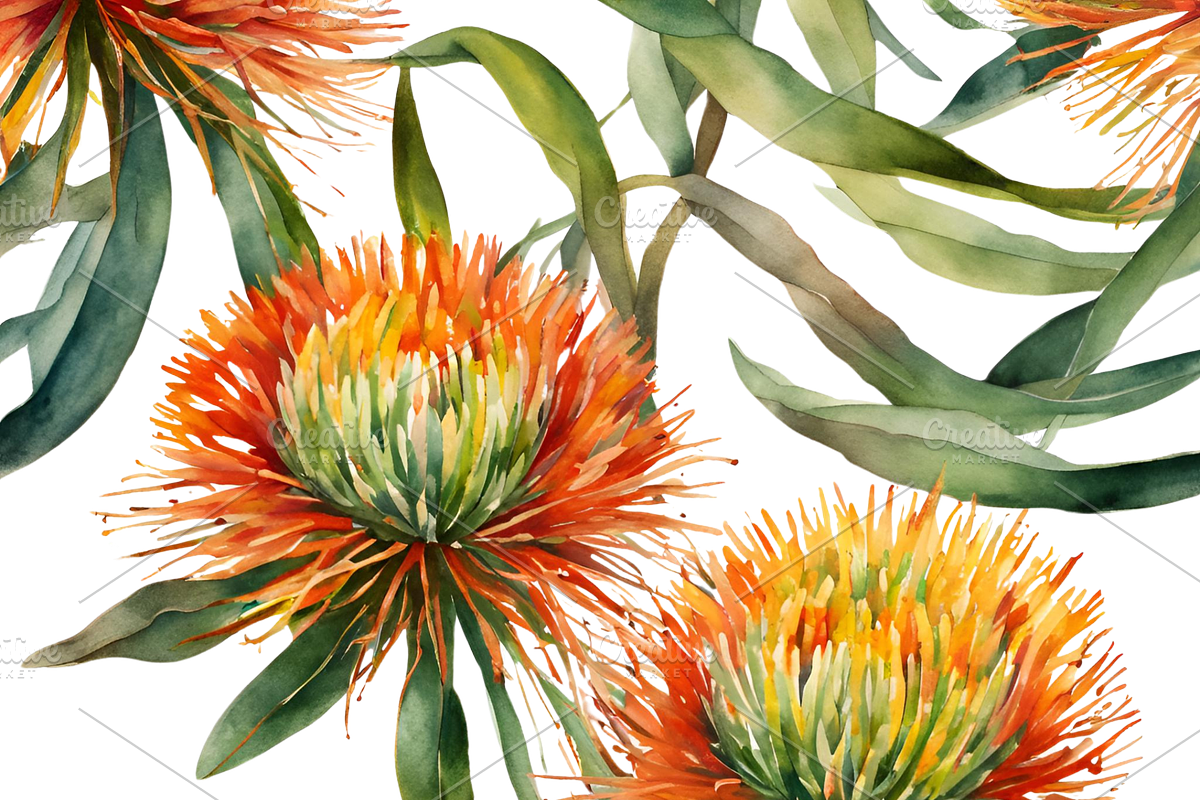 Pincushion Protea Flowers, a Decorative Illustration by Karliefie (Photo 7 of 8)