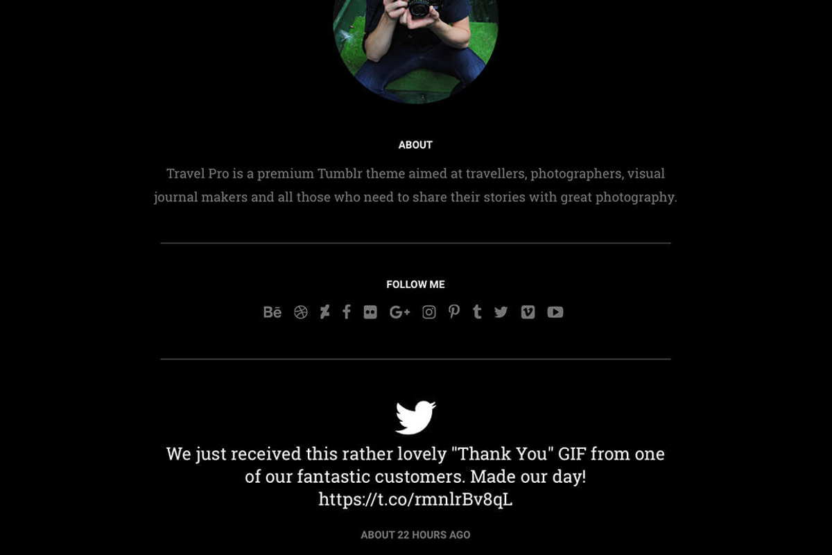 Travel Pro Tumblr Theme, a Websites & App Template by Themelantic (Photo 3 of 6)