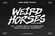 Weird Horses - Hand-Drawn Typeface, a Handwritten Font by The Native Saint Club (Thumbnail 1 of 8)
