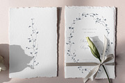 Vines Linear Clipart Kit, an Object Illustration by Sensual Art (Thumbnail 7 of 7)