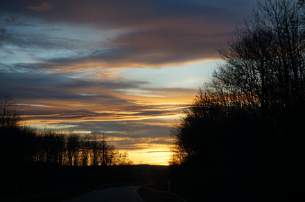 Sunset and tree