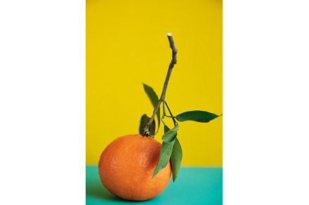 one tangerine with leaf on a yellow, a Food & Drink Photo by Rohan Photography