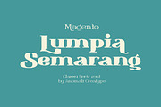 Magento Retro Display Serif Font, a Serif Font by Anomali Creatype (Thumbnail 10 of 12)