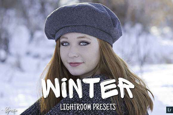 50 Winter Lightroom Presets preview 8
