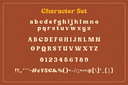 Shine Coasty - Retro Serif Font!, a Serif Font by HansCo Studio (Thumbnail 8 of 9)