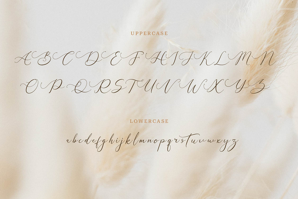 Galteniya | Beautiful Script, a Script Font by Denustudios (Photo 12 of 15)