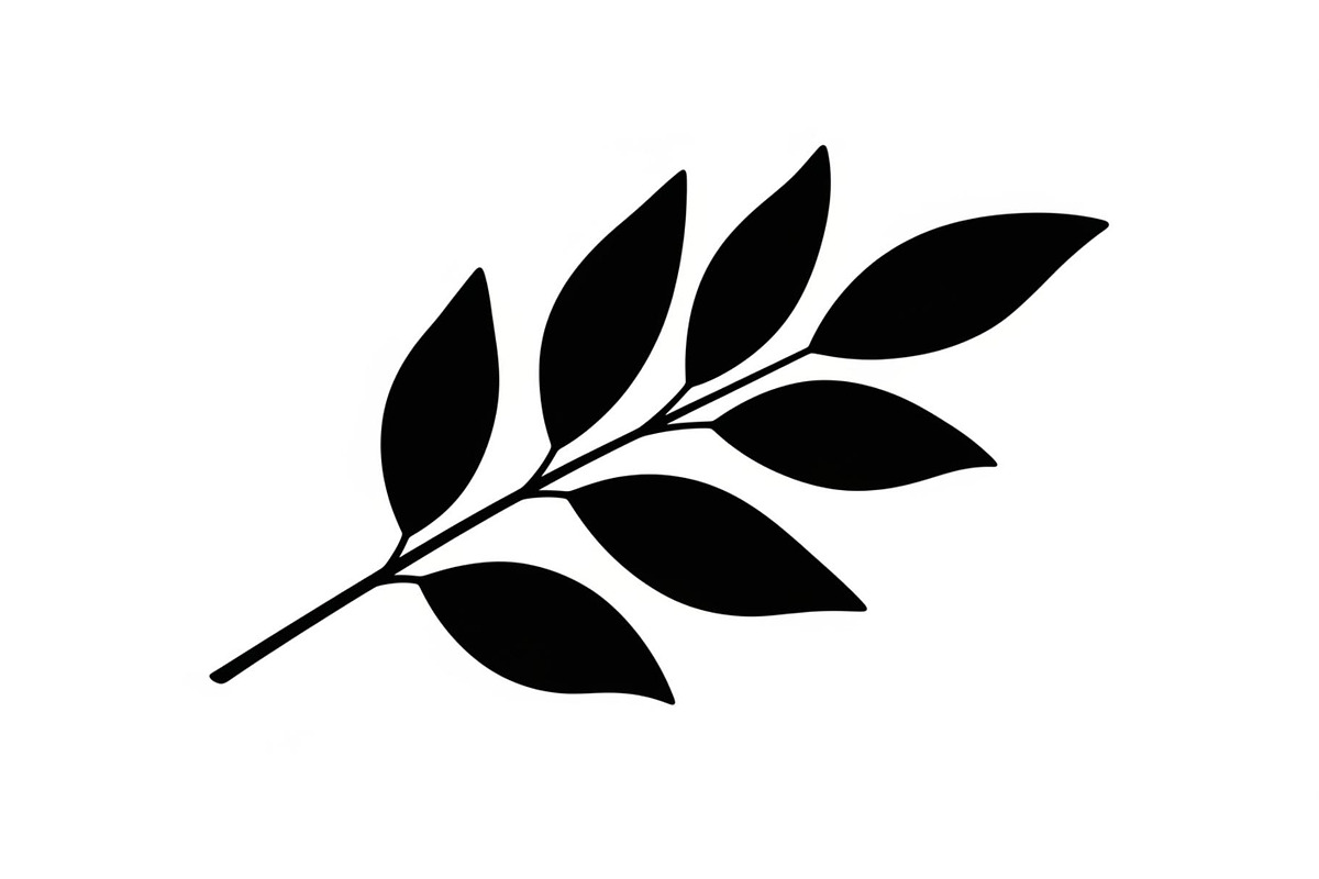 Botanical Leaf Silhouette Bundle, an Illustration by yasushie (Photo 10 of 51)
