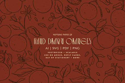 Hand Drawn Oranges