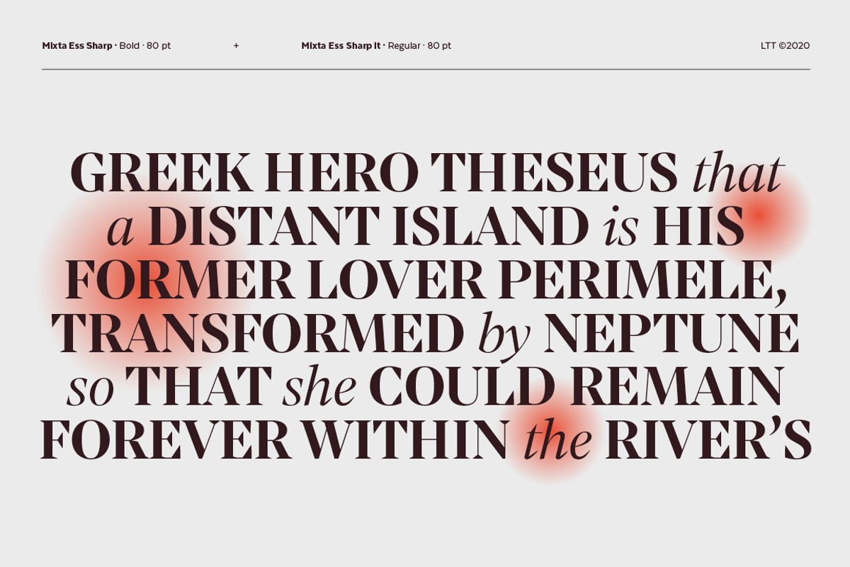 Mixta Essential, a Serif Font by Latinotype (Photo 12 of 14)