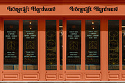 Ceganf Modern High Contrast Serif, a Serif Font by timelesstype.co (Thumbnail 9 of 20)
