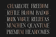 More Bright Serif Duo, a Serif Font by zeenesia (Thumbnail 2 of 18)