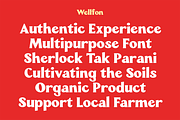 Wellfon - Modern Retro Serif Font, a Serif Font by Pekotype (Thumbnail 7 of 11)
