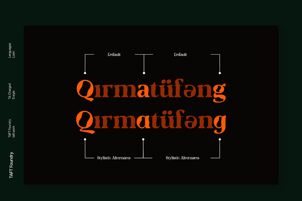 TA Charged, a Serif Font by TAFT Foundry (Photo 11 of 19)