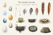 Birds Watercolor Painted Set, an Animal Illustration by AnitaPol (Thumbnail 14 of 18)
