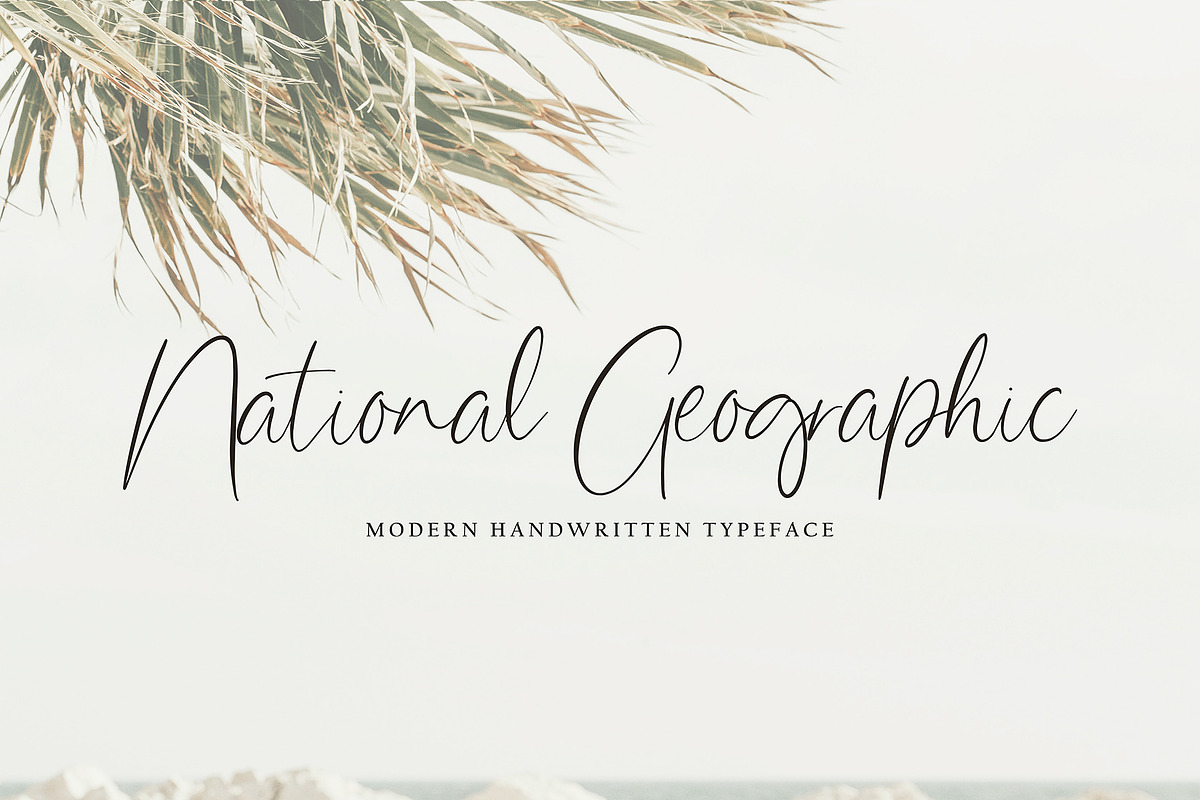 Battem Shampo, a Script Font by pineungtype (Photo 9 of 10)