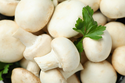 Champignon mushrooms all over background, close up, a Food & Drink Photo by AtlasStudio PRO