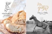 Animal Flourish Icons & Brushes, an Icon by Molly Suber Thorpe (Thumbnail 10 of 11)