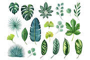 Tropical plants set, an Illustration by Watercolor life (Thumbnail 7 of 13)