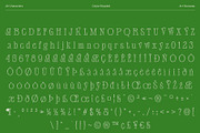 Ceyla Stippled, a Serif Font by Craft Supply Co. (Thumbnail 8 of 8)