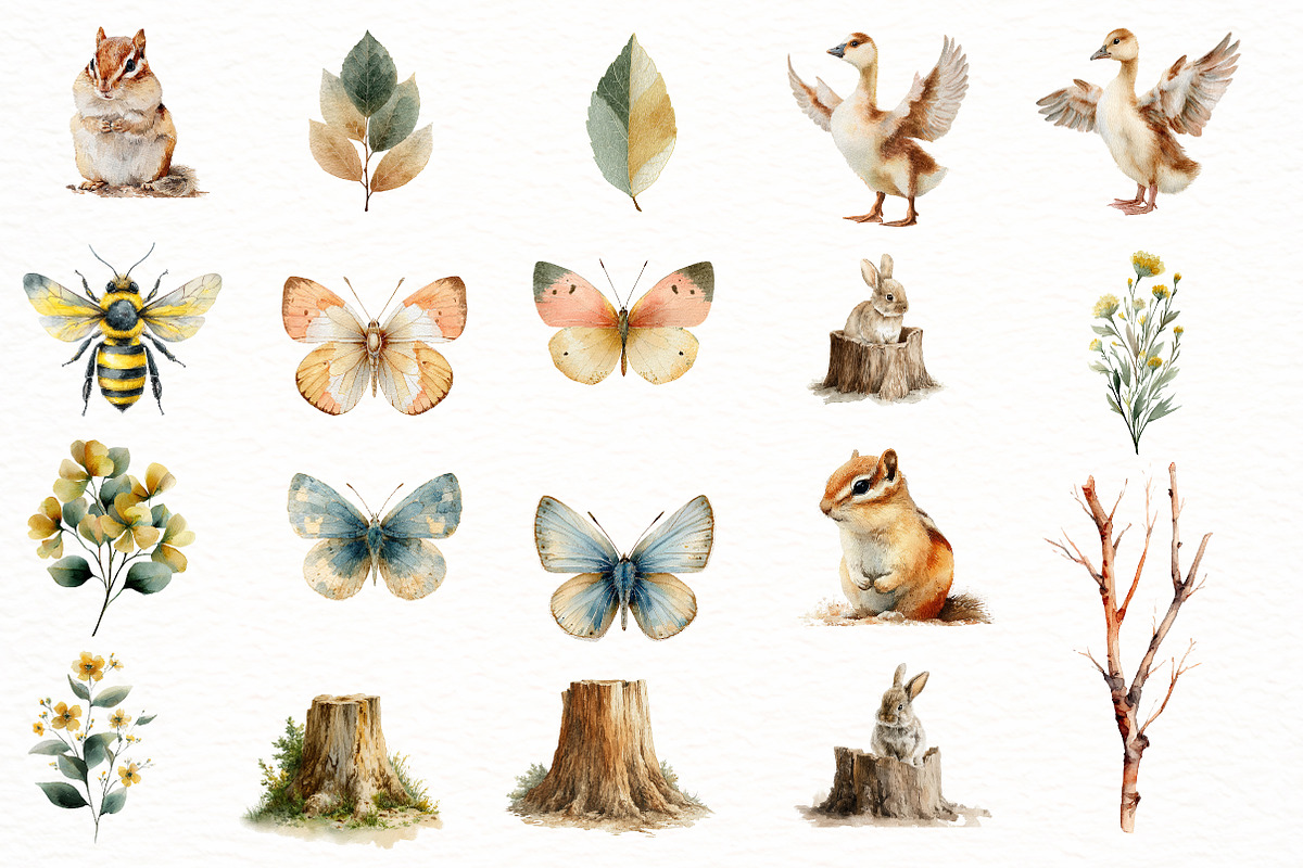 Watercolor woodland Clipart, an Illustration by Designworld (Photo 2 of 8)