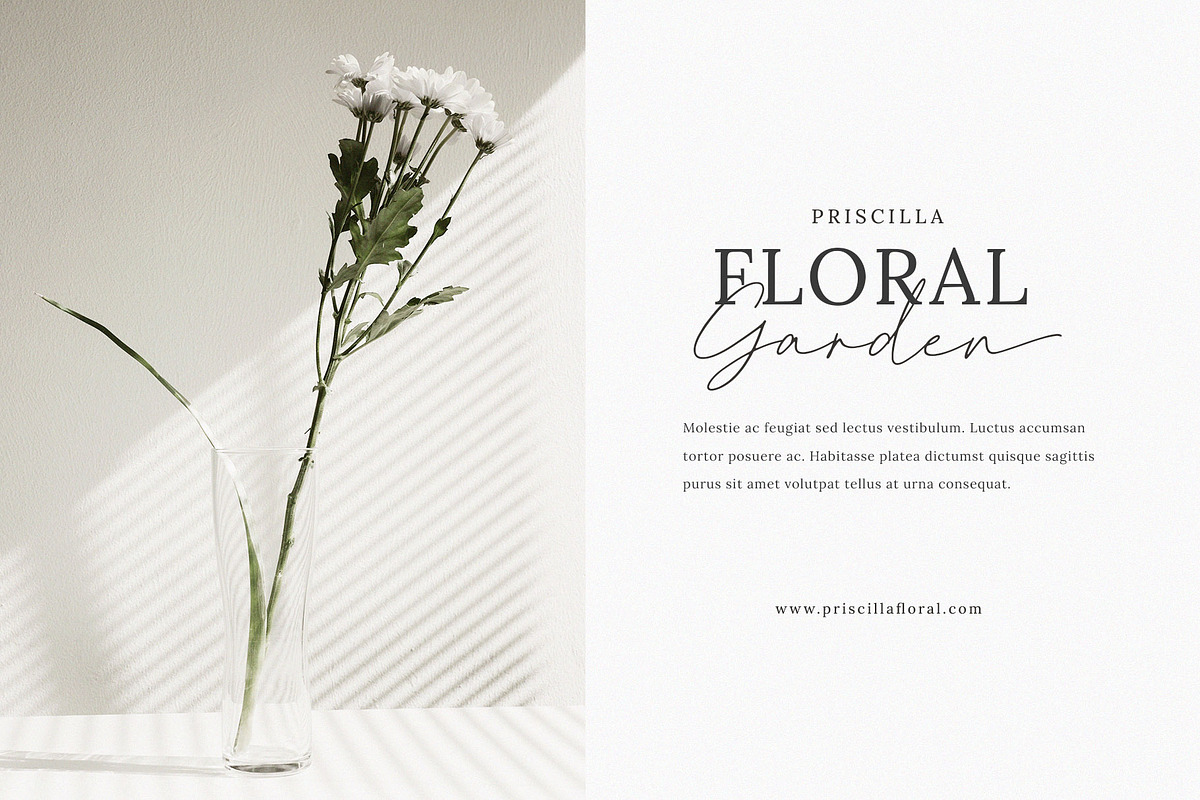 Pinellas Handwritten Script Font preview 2