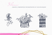 Blossom.Vol.1 - graphic botanica., an Illustration by Fresh-shop (Thumbnail 5 of 7)