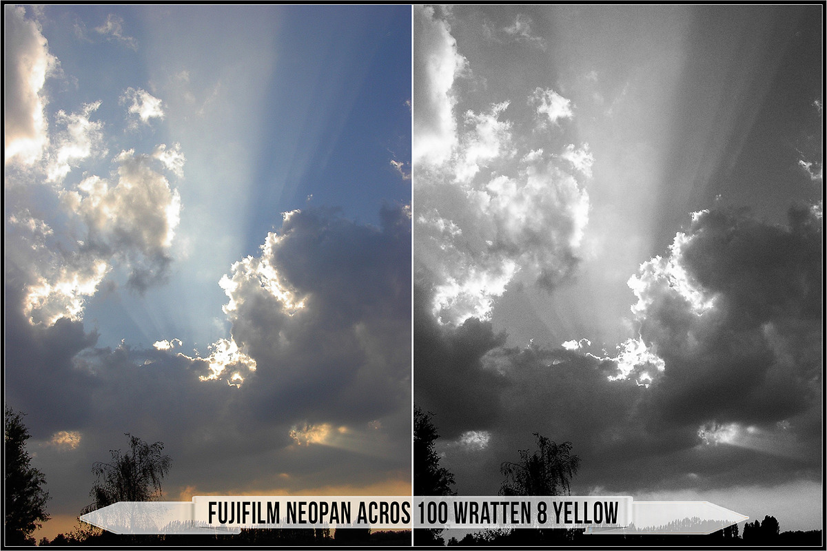 Fujifilm Black and White Film LUTs, a Plug-in Add-On by Raztrend (Photo 20 of 30)