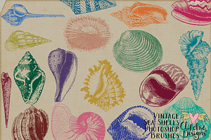 Vintage Sea Shell Photoshop Brushes