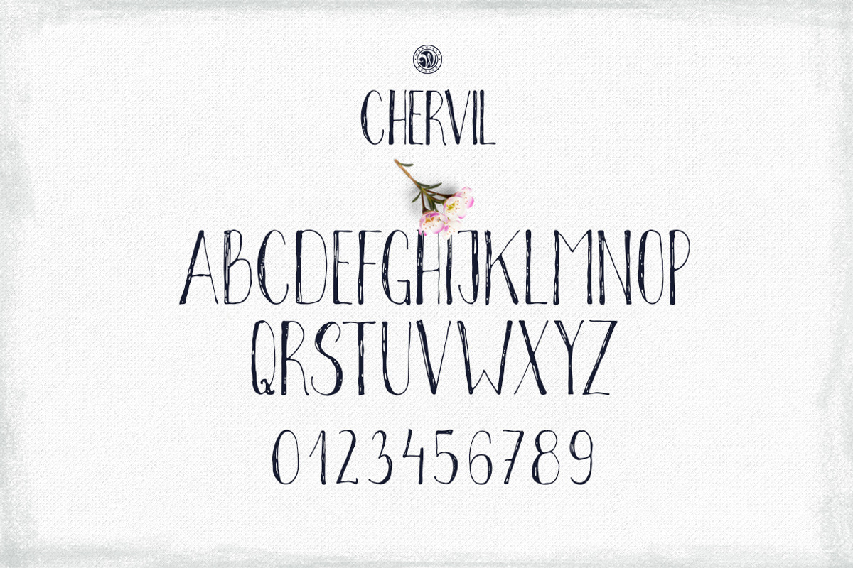 Chervil preview 4