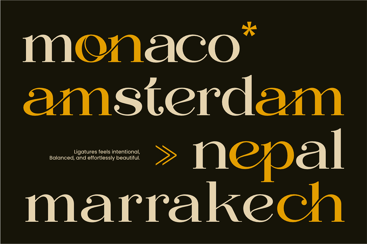 Regani - Modern Serif Typeface, a Serif Font by NexaLine (Photo 3 of 10)