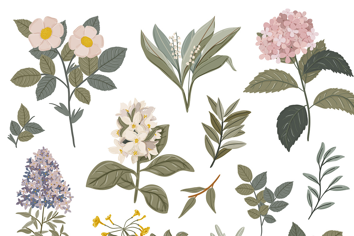 Seasonal Botany BUNDLE, an Object Graphic by Ruslana Lubenets (Photo 42 of 100)