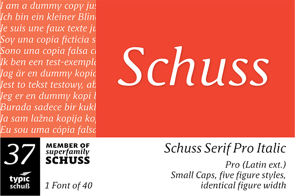 SchussSerifProIta No.37 (1 Font) preview 7