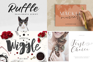 20 Script Fonts Bundle