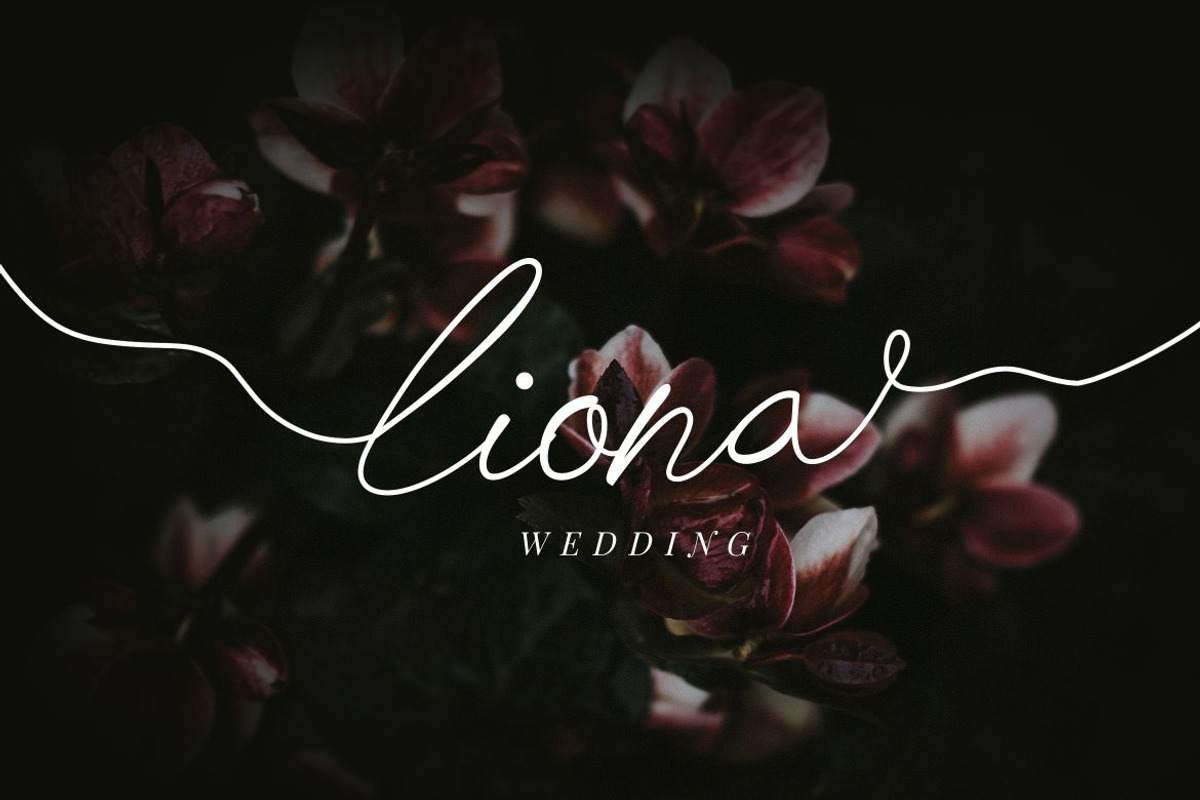Chick Budapest Signature Font, a Handwritten Font by UICreative (Photo 2 of 5)