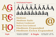 Cerberus - Serif font family, a Serif Font by Artistic & Unique (Thumbnail 3 of 15)